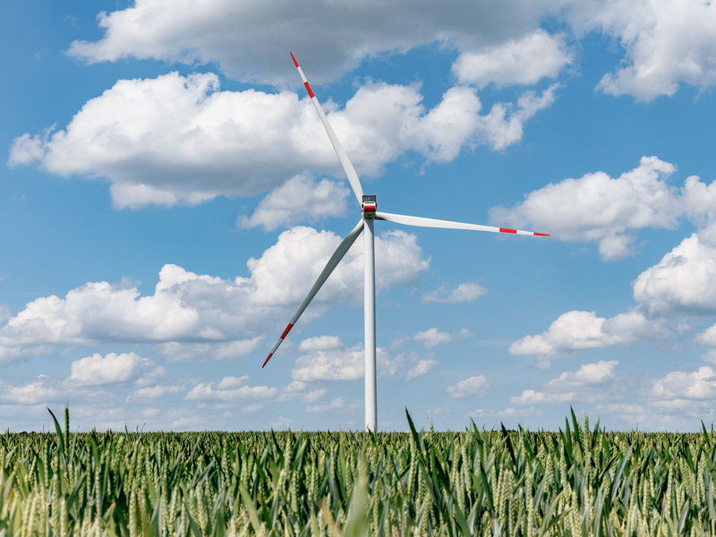 Die Bundesnetzagentur hat sich für eine Strompreisreform mit niedrigeren Gebühren für Regionen mit viel Windkraft ausgesprochen. - Foto: Markus Scholz/dpa