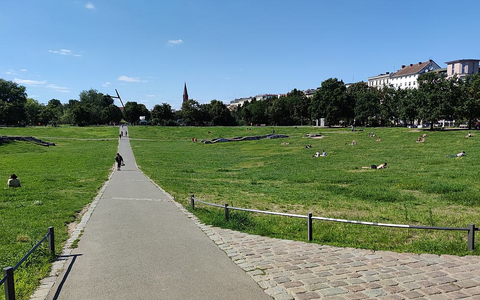 Görlitzer Park in Berlin am 11.08.2023 - Foto: ?ber dts Nachrichtenagentur