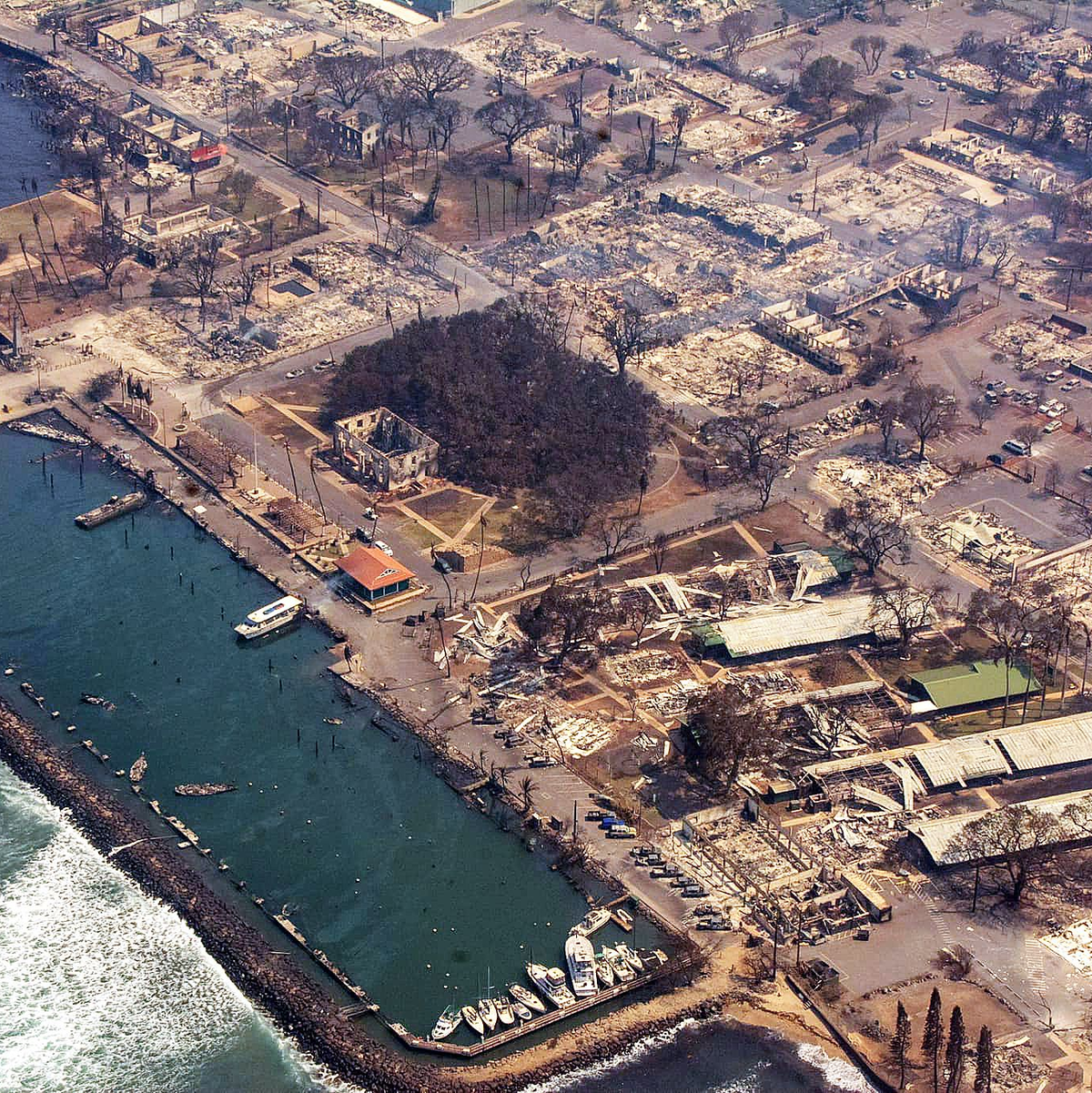 Dieses vom County of Maui zur Verfügung gestellte Luftbild zeigt von den Feuern zerstörte Gebäude in der Nähe eines Jachthafens. - Foto: County Of Maui/ZUMA Press Wire/dpa