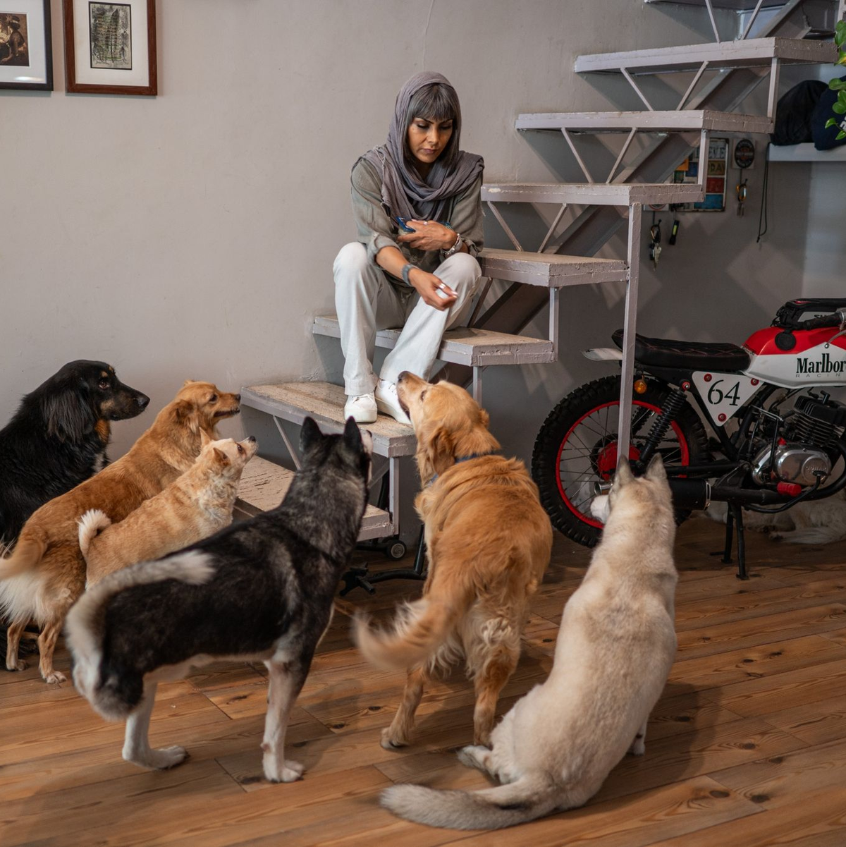 Die Motorsportlerin Mariam Talai ist über Irans Landesgrenzen bekannt. - Foto: Arne Bänsch/dpa