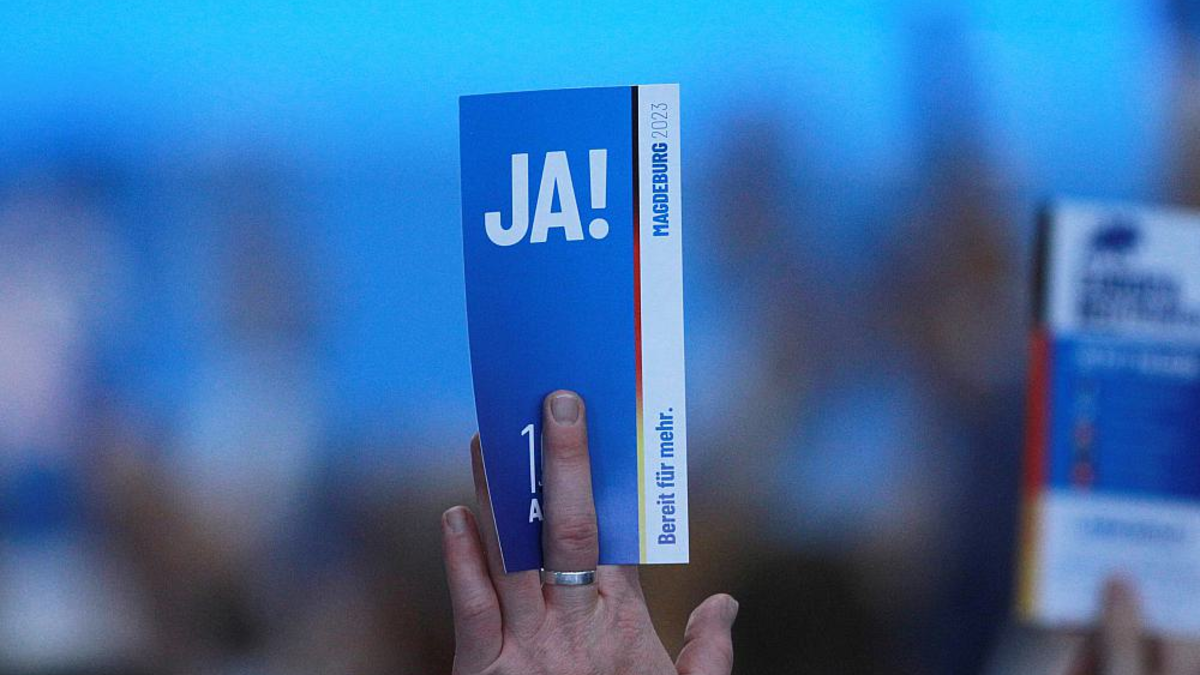 Abstimmung auf AfD-Parteitag (Archiv) - Foto: ?ber dts Nachrichtenagentur