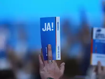 Abstimmung auf AfD-Parteitag (Archiv) - Foto: ?ber dts Nachrichtenagentur