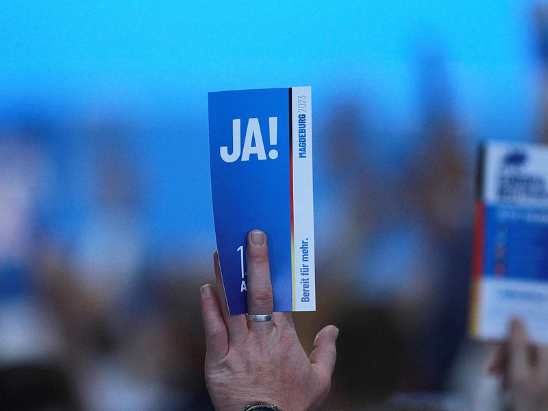 Abstimmung auf AfD-Parteitag (Archiv) - Foto: ?ber dts Nachrichtenagentur