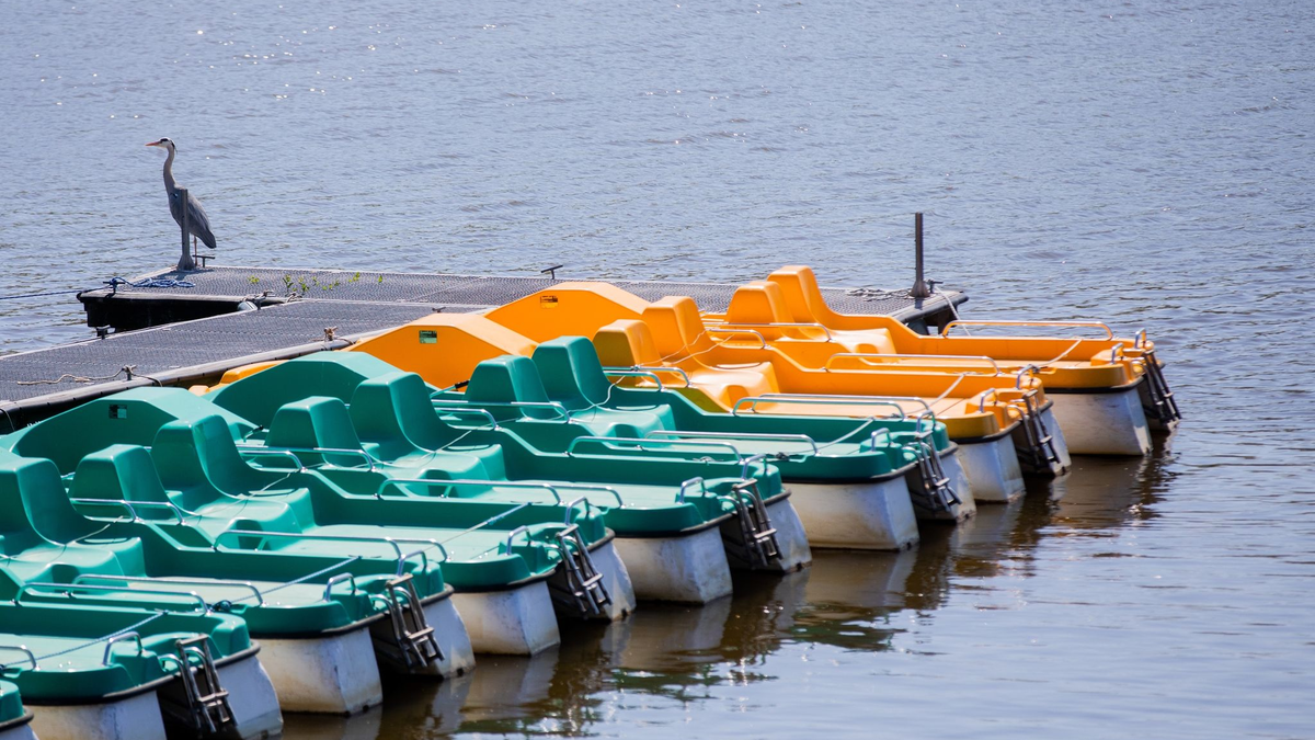 Tretboote liegen an einem Steg. (Archivbild) - Foto: Rolf Vennenbernd/dpa