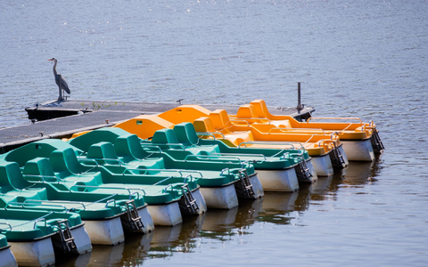 Tretboote liegen an einem Steg. (Archivbild) - Foto: Rolf Vennenbernd/dpa