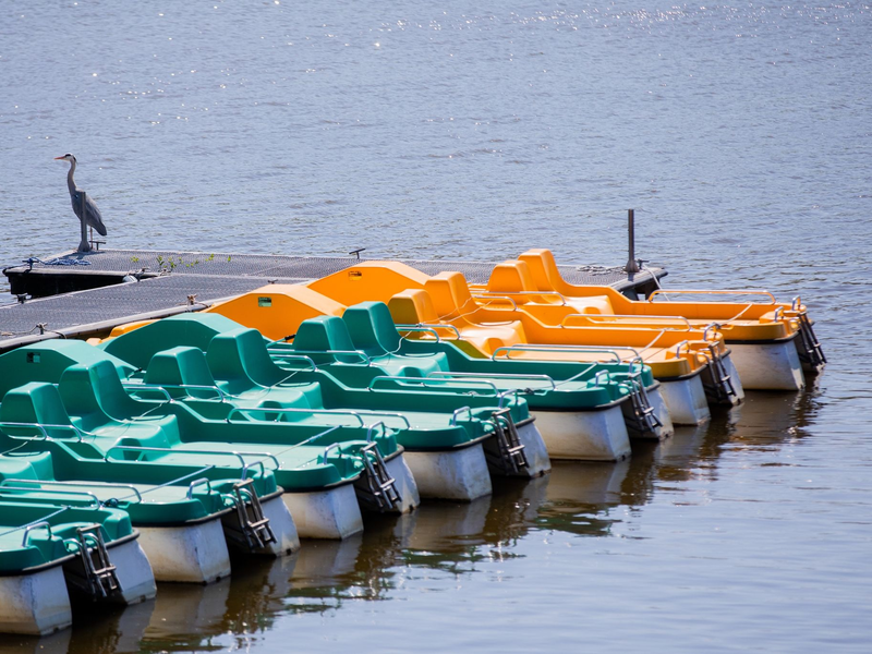Tretboote liegen an einem Steg. (Archivbild) - Foto: Rolf Vennenbernd/dpa