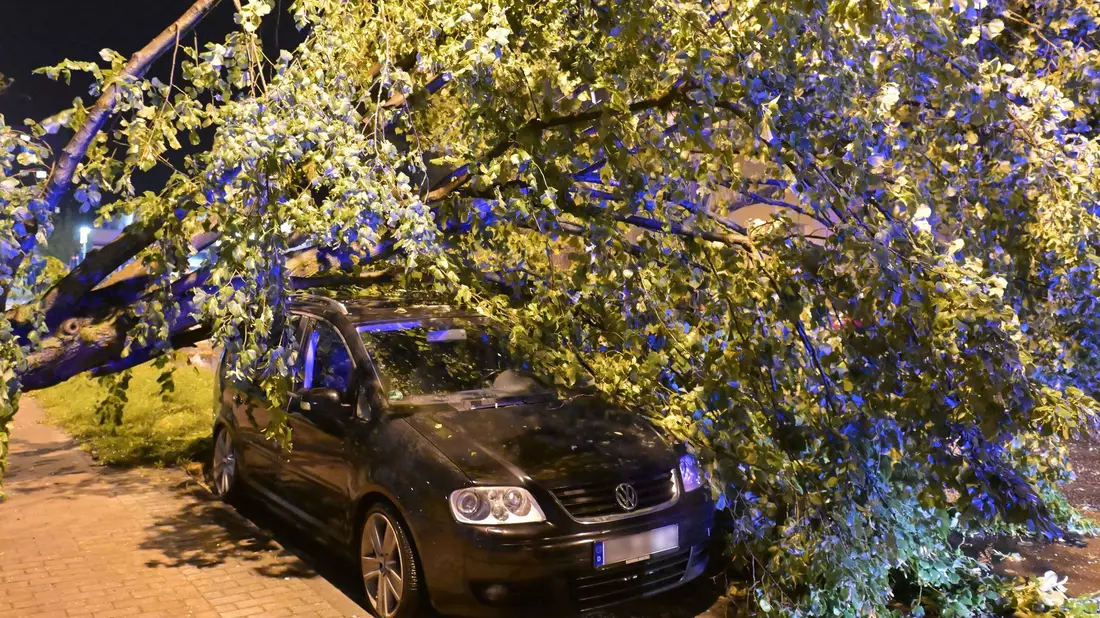 Bäume fielen auf die Straßen, die zum Teil gesperrt werden mussten. - Bild: Michael Bahlo/dpa