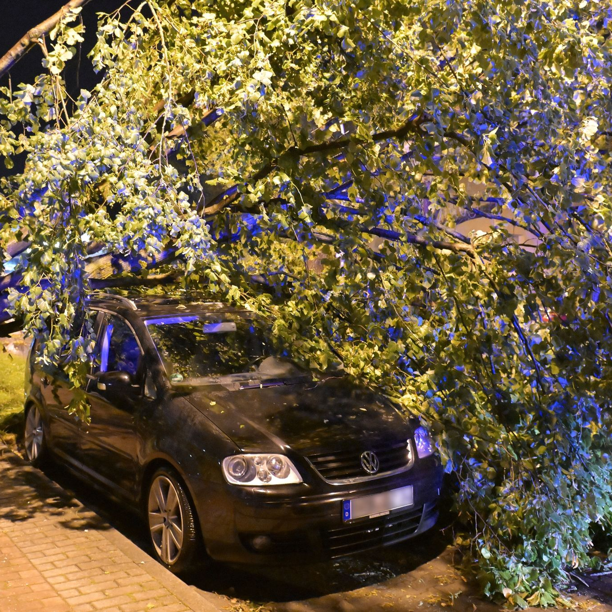 Bäume fielen auf die Straßen, die zum Teil gesperrt werden mussten. - Foto: Michael Bahlo/dpa