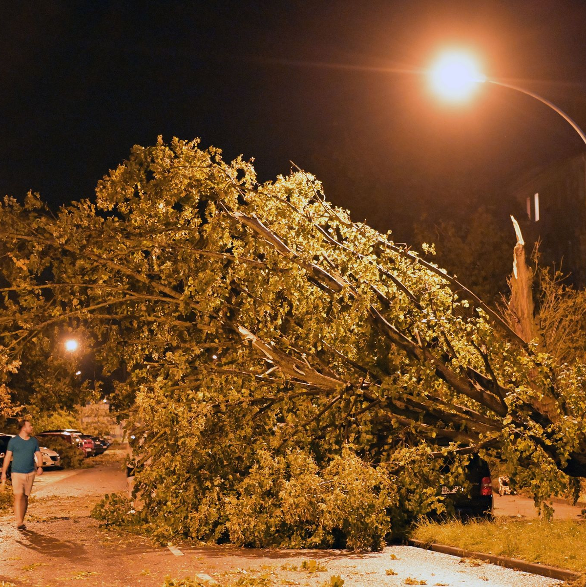 Einfach umgeknickt: Es sind Böen mit einer Windgeschwindigkeit von 148 Kilometer pro Stunde gemessen worden. - Foto: Michael Bahlo/dpa