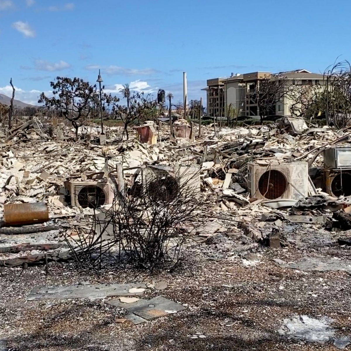 Auf Maui wurde die Kleinstadt Lahaina besonders hart getroffen. - Foto: Yang Pingjun/XinHua/dpa