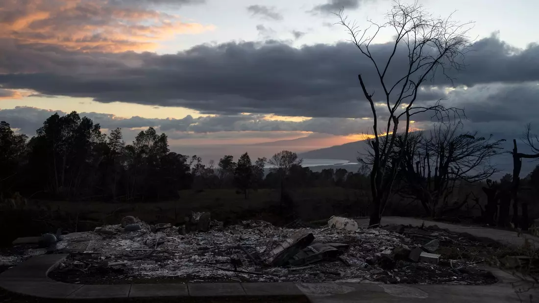Die Asche eines niedergebrannten Hauses in Kula auf der Insel Maui. - Bild: Jae C. Hong/AP/dpa