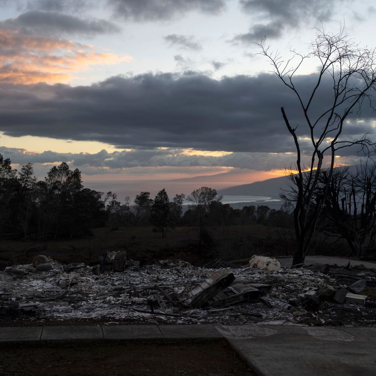 Die Asche eines niedergebrannten Hauses in Kula auf der Insel Maui. - Foto: Jae C. Hong/AP/dpa