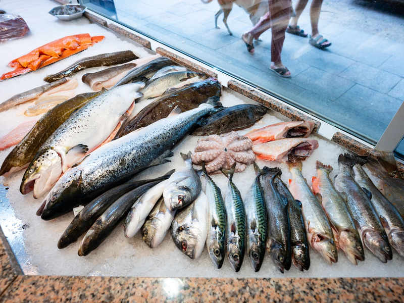 Die Preise für Fisch sind im letzten Jahr deutlich gestiegen. - Foto: Jonas Walzberg/dpa