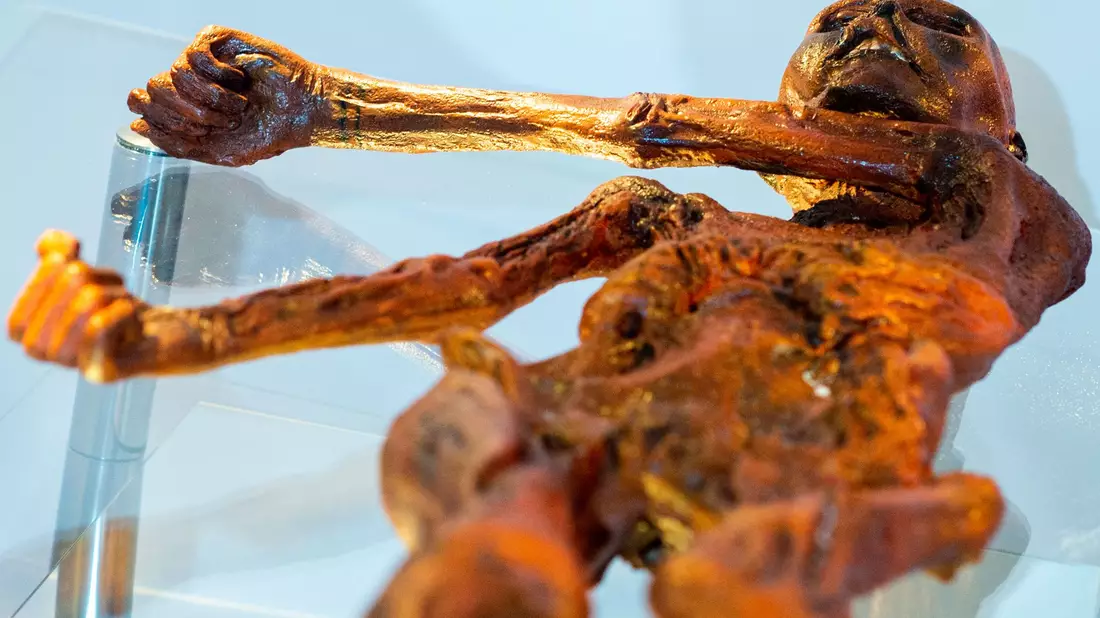 Ein Replikat des 1991 in den Ötztaler Alpen entdeckten Steinzeitmenschen «Ötzi» im Museum für Naturkunde in Magdeburg. - Bild: Klaus-Dietmar Gabbert/dpa-Zentralbild/dpa