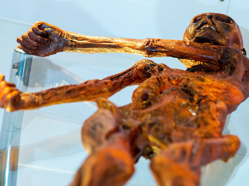 Ein Replikat des 1991 in den Ötztaler Alpen entdeckten Steinzeitmenschen «Ötzi» im Museum für Naturkunde in Magdeburg. - Foto: Klaus-Dietmar Gabbert/dpa-Zentralbild/dpa