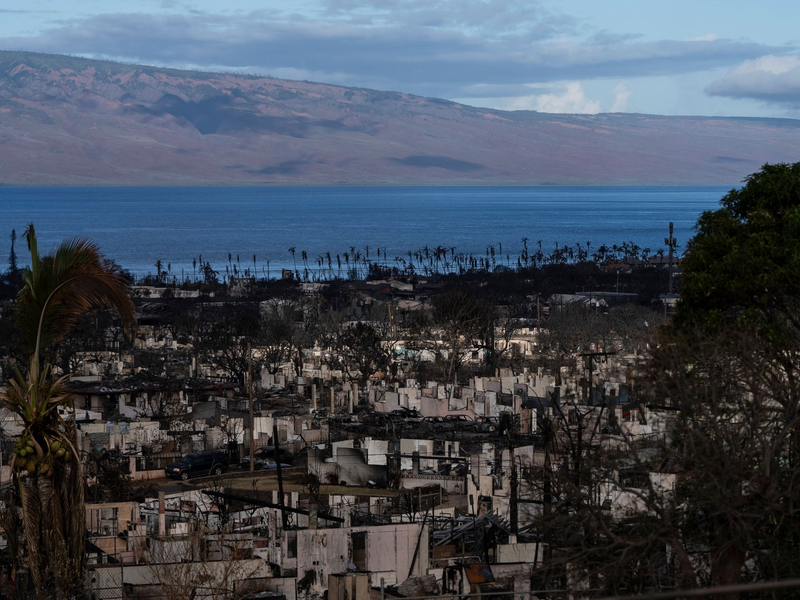 Nach den verheerenden Bränden auf der Insel Maui im US-Bundesstaat Hawaii haben Suchtrupps weitere Leichen in ausgebrannten Gebäuden gefunden. - Foto: Jae C. Hong/AP/dpa