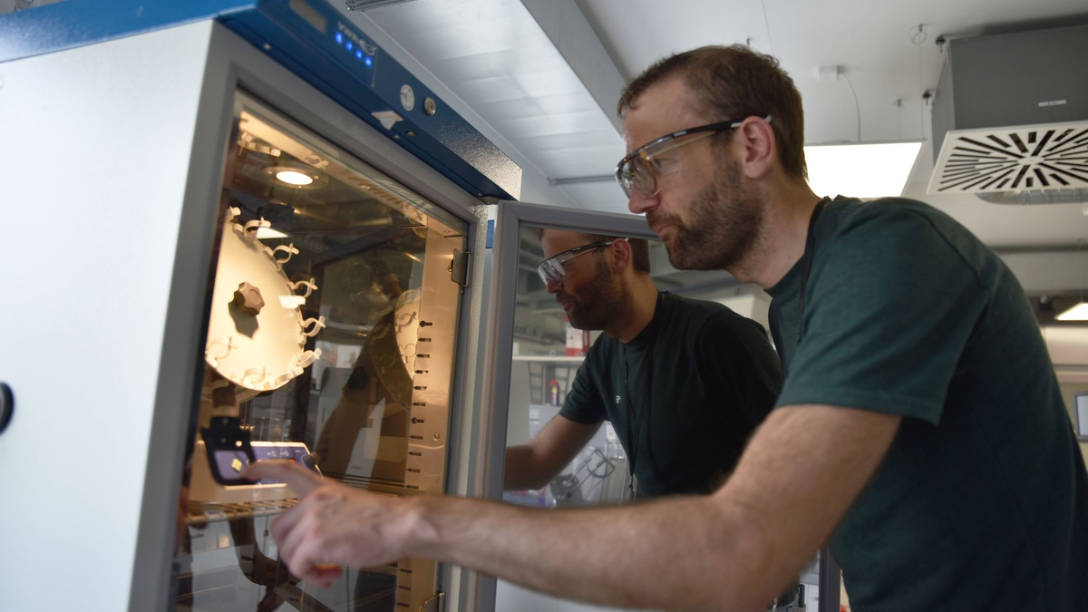 Konrad Gebauer, Leiter der Prozessentwicklung bei UPM in Leuna, im Labor der neuen Bioraffinerie. - Foto: Simon Kremer/dpa