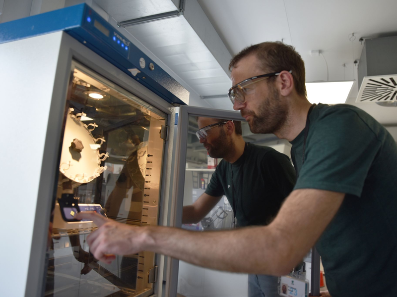 Konrad Gebauer, Leiter der Prozessentwicklung bei UPM in Leuna, im Labor der neuen Bioraffinerie. - Foto: Simon Kremer/dpa