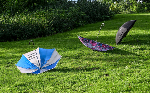 Aufgespannte Regenschirme liegen zum Trocknen auf einer Wiese. Jetzt kommt die Hitze. - Foto: Jens Kalaene/dpa