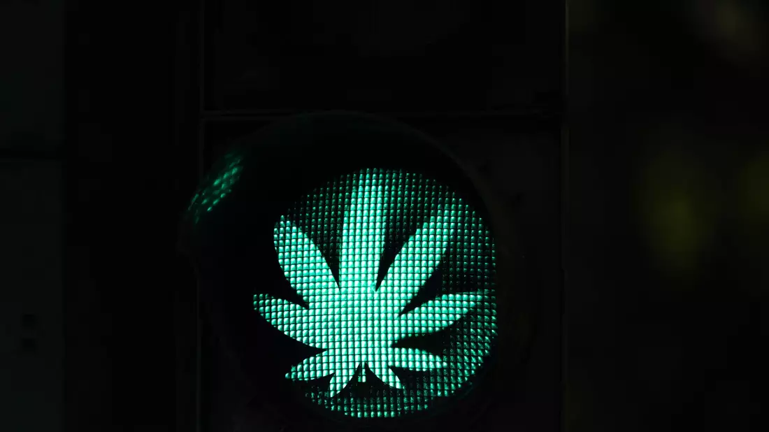 Die Cannabis-Legalisierung in Deutschland soll kommen. Das Bundeskabinett beschloss einen entsprechenden Gesetzesentwurf von Gesundheitsminister Lauterbach. - Bild: Rolf Vennenbernd/dpa