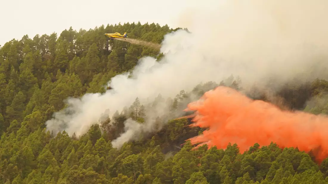 Ein Löschflugzeug wirft Wasser auf den Waldbrand in der Nähe der Gemeinde El Rosario auf Teneriffa. - Bild: Europa Press/EUROPA PRESS/dpa