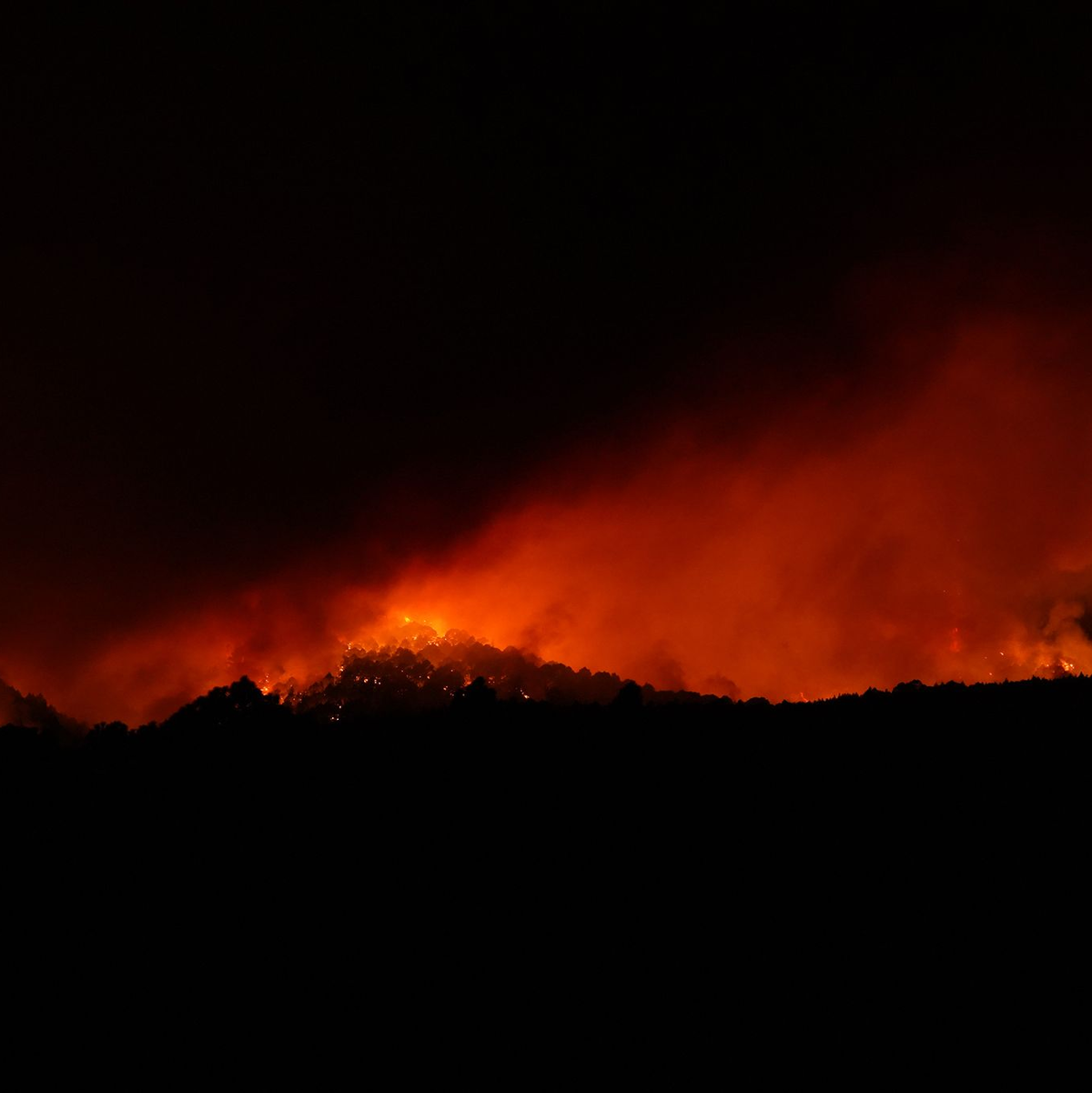 Flammen wüten am Mittwoch in der Nähe der Gemeinde Arafo auf Teneriffa. - Foto: Europa Press/EUROPA PRESS/dpa