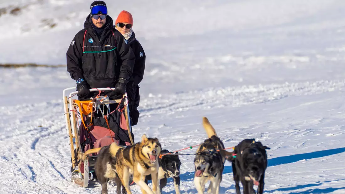 Schlittenfahrt in Spitzbergen: Kronprinz Haakon und Kronprinzessin Mette-Marit. - Bild: Ole Berg-Rusten/NTB/dpa