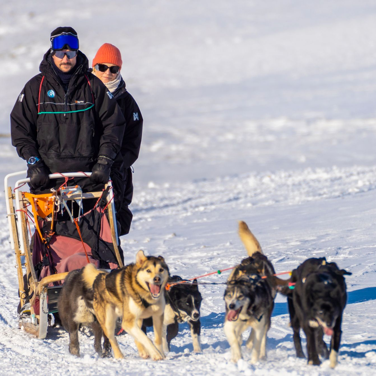 Schlittenfahrt in Spitzbergen: Kronprinz Haakon und Kronprinzessin Mette-Marit. - Foto: Ole Berg-Rusten/NTB/dpa