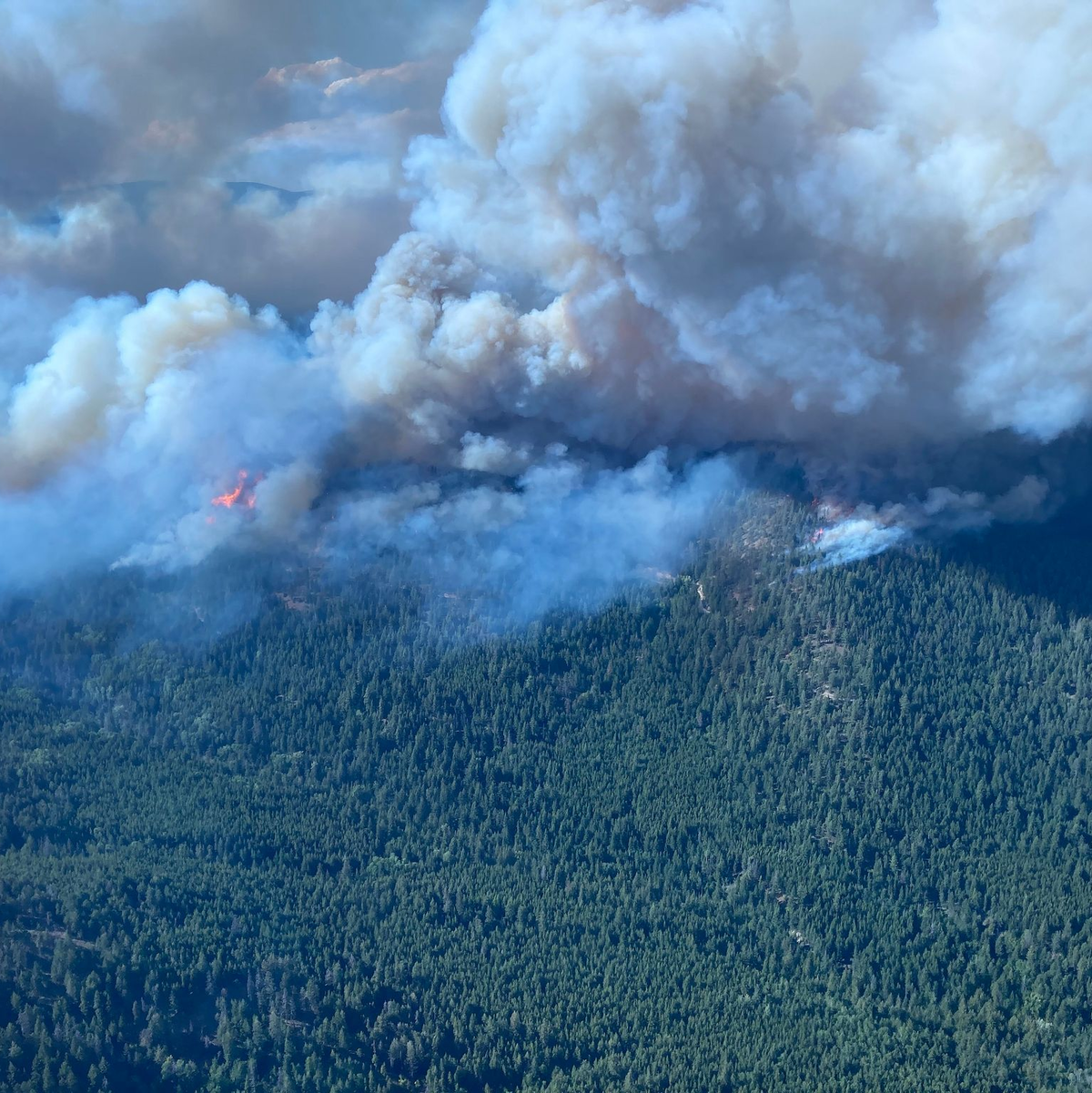 Im Gebiet bei West Kelowna, British Columbia, brennt es weiter. - Foto: Bc Wildfire Service/Canadian Press via ZUMA Press/dpa