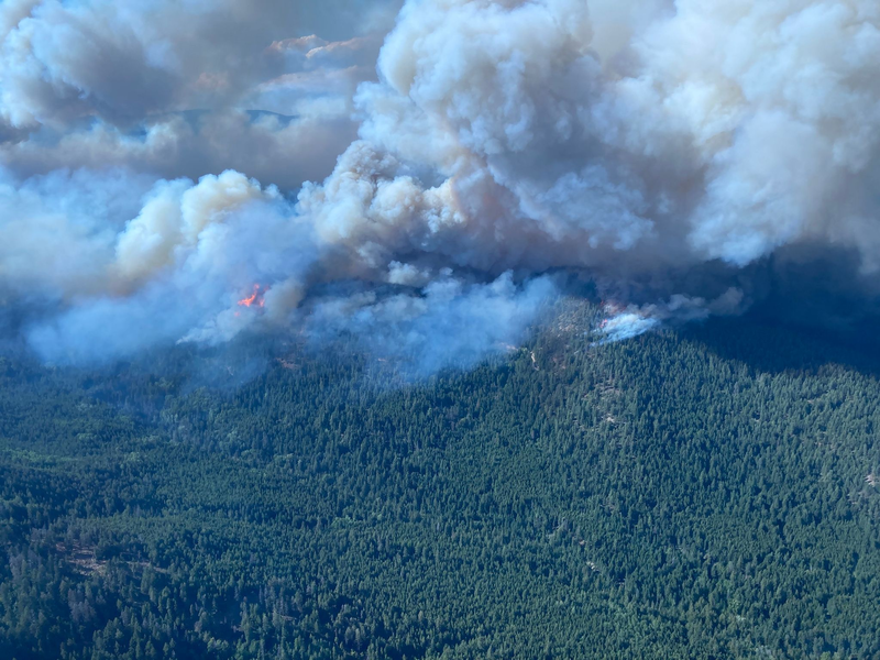 Im Gebiet bei West Kelowna, British Columbia, brennt es weiter. - Foto: Bc Wildfire Service/Canadian Press via ZUMA Press/dpa
