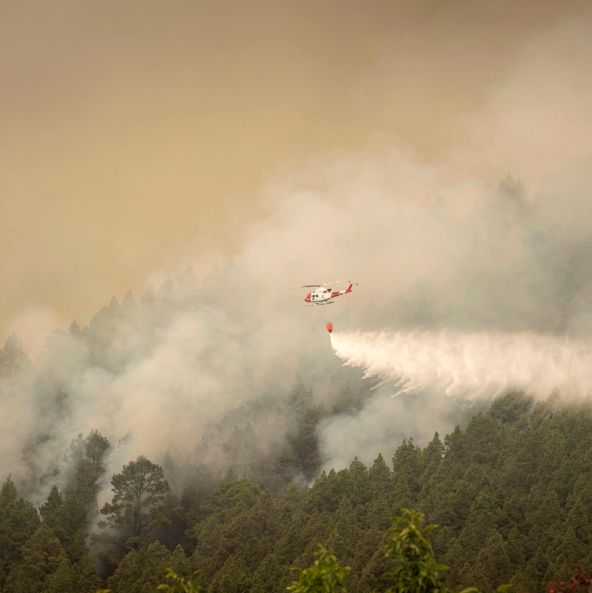 Ein Hubschrauber überfliegt einen Brand am Stadtrand von El Rosario während eines Löscheinsatzes. - Foto: Arturo Rodriguez/AP