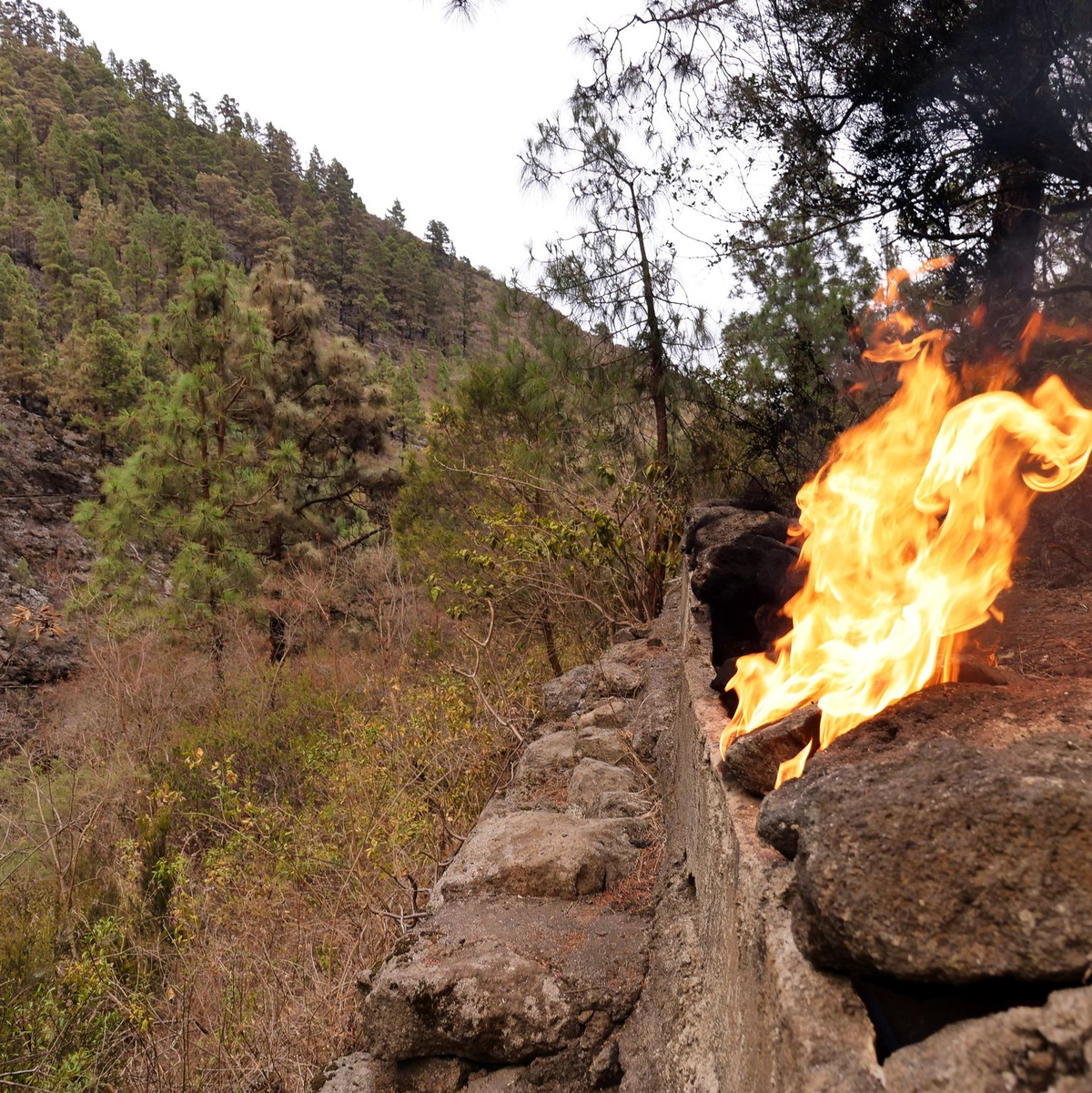 Ein Banner mit der Aufschrift «Gracias, Heroes» (Danke, Helden) ist an einem Kreisverkehr gespannt. - Foto: Patrick Kerber/TNN/dpa
