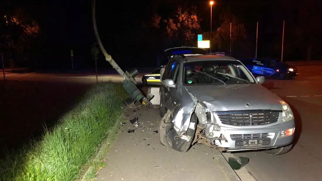 POL-HI: Baumunfall fordert zwei Leichtverletzte - Bild: presseportal.de