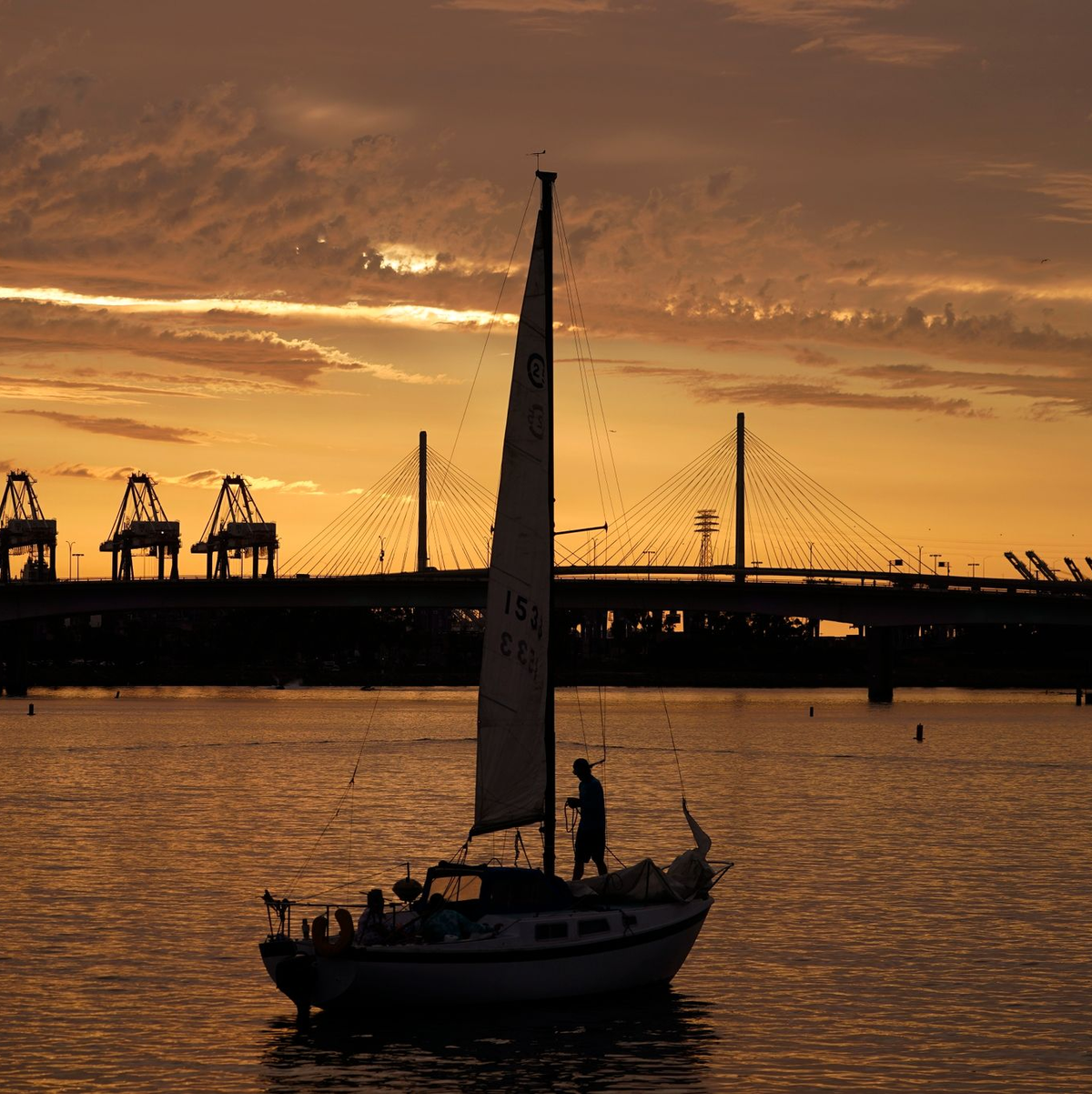 Noch ist es ruhig. Der Pazifik-Hurrikan «Hilary» hat sich auf den Weg zu der mexikanischen Halbinsel Baja California und Kalifornien gemacht. - Foto: Damian Dovarganes/AP/dpa