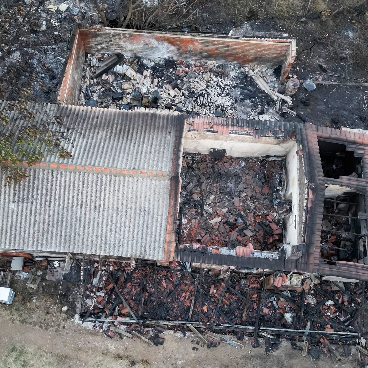 Im äußersten Nordosten Griechenlands  konnten mehrere große Wald- und Buschbrände teils unter Kontrolle gebracht werden. - Foto: Ilias Kotsireas/InTime News/AP/dpa