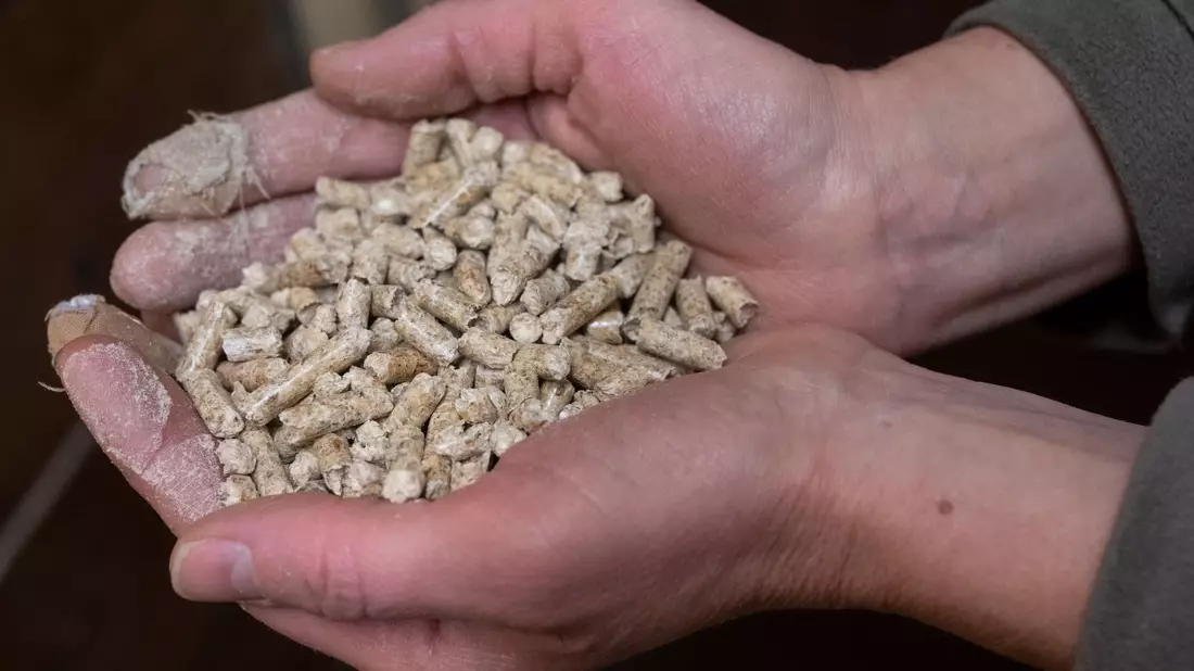 Pelletöfen und Pelletkessel gelten in der Regel als weniger belastend für die Umwelt als andere Holzverbrennung. - Bild: Boris Roessler/dpa