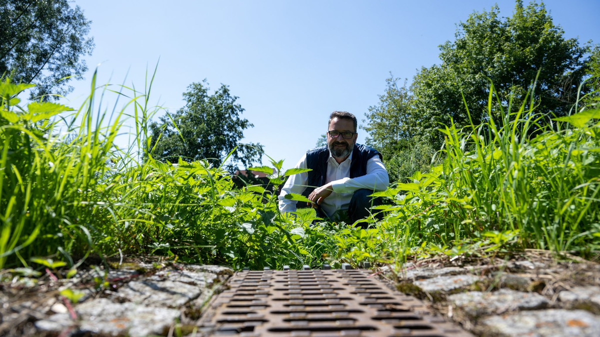 Die Regenrinne einer Straße in Neu-Ulm ist mit losem Steinen gesichert, so dass Regenwasser dort versickern kann. - Foto: Stefan Puchner/dpa