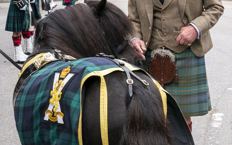 König Charles geht auf Tuchfühlung mit dem Shetlandpony in Balmoral. - Foto: Jane Barlow/PA Wire/dpa König Charles geht auf Tuchfühlung mit dem Shetlandpony in Balmoral. - Foto: Jane Barlow/PA Wire/dpa