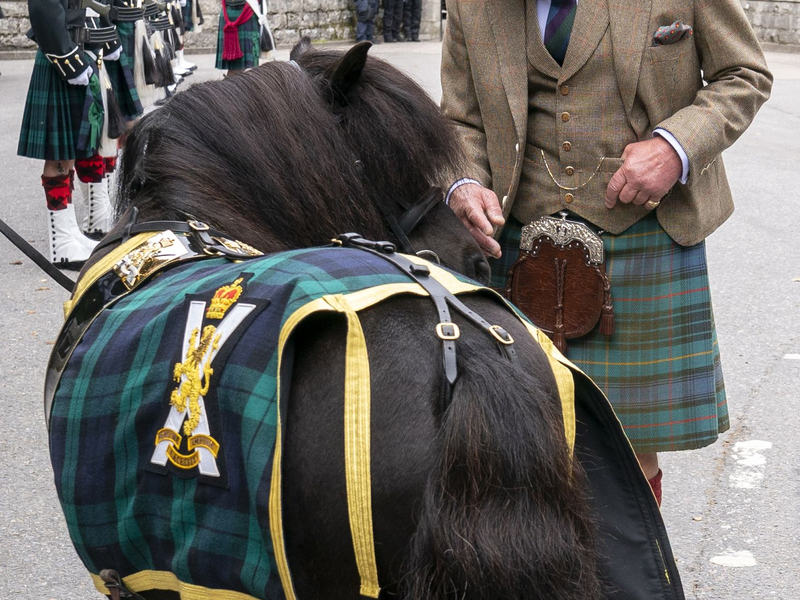König Charles geht auf Tuchfühlung mit dem Shetlandpony in Balmoral. - Foto: Jane Barlow/PA Wire/dpa