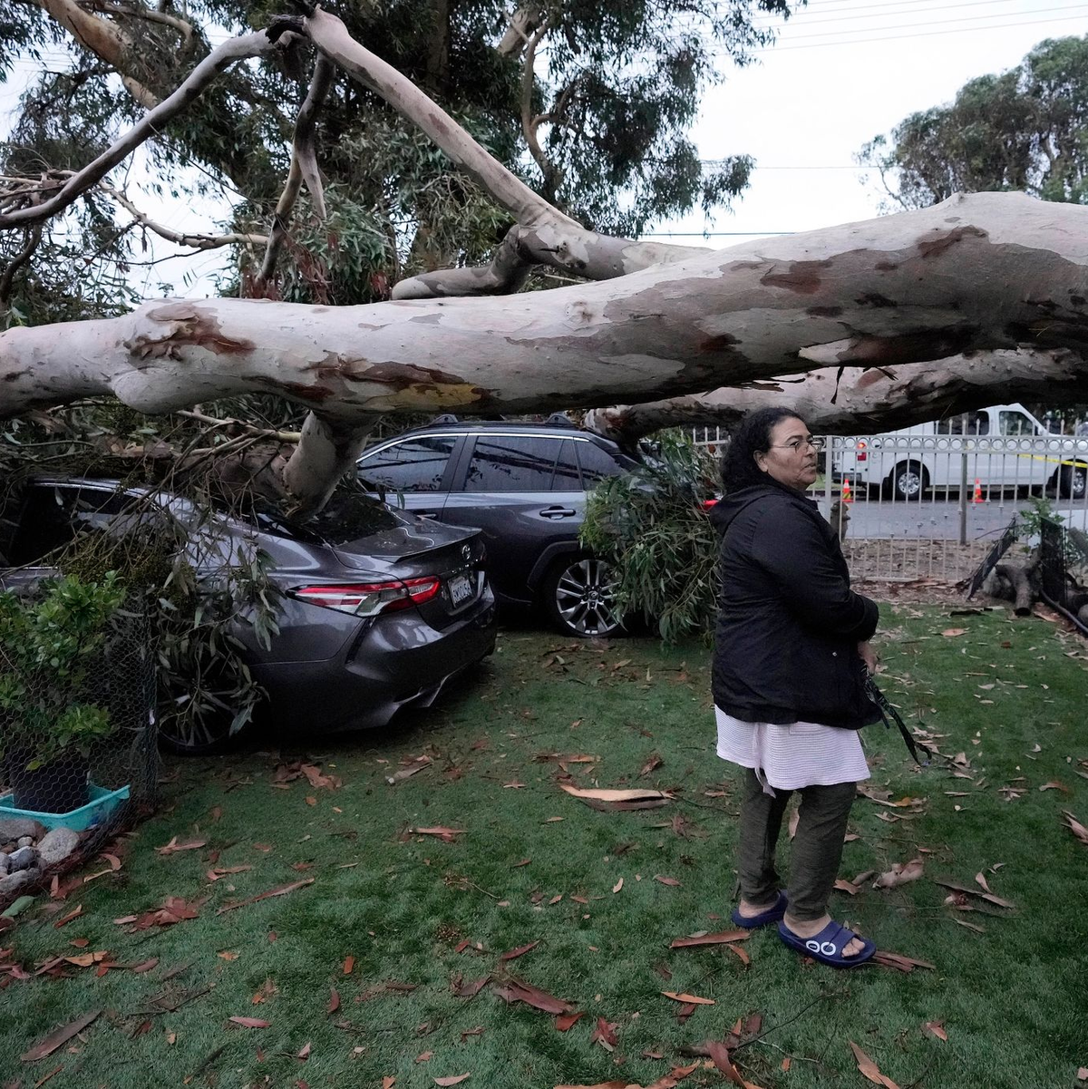 Umgestürzte Bäume nach dem Tropensturm «Hilary» im Sun Valley in Kalifornien. - Foto: Marcio Jose Sanchez/AP/dpa