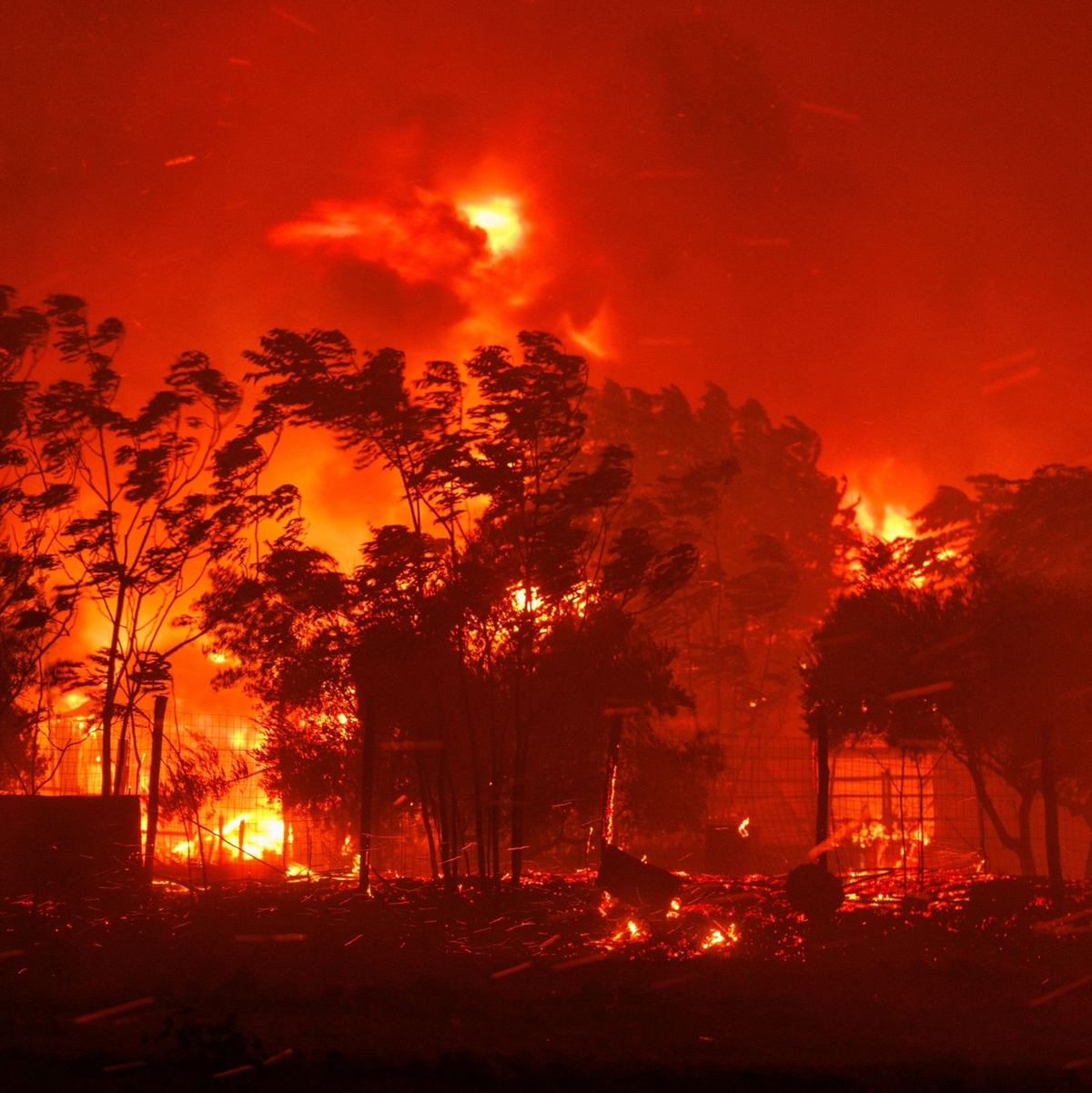Das Feuer verbrennt ein Haus im Dorf in der Nähe der Stadt Alexandroupolis in der nordöstlichen Region Evros. Stürmische Winde fachen die Flammen der Waldbrände in ganz Griechenland an. - Foto: Achilleas Chiras/AP