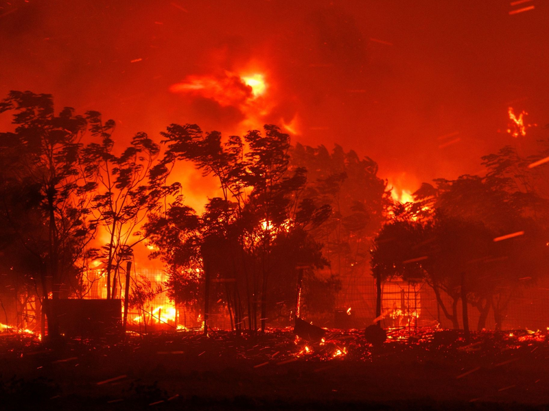 Das Feuer verbrennt ein Haus im Dorf in der Nähe der Stadt Alexandroupolis in der nordöstlichen Region Evros. Stürmische Winde fachen die Flammen der Waldbrände in ganz Griechenland an. - Foto: Achilleas Chiras/AP