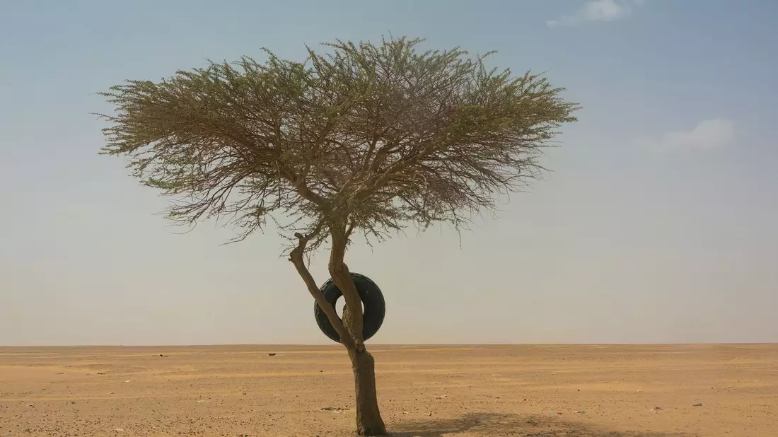 An der Grenze zwischen Saudi-Arabien und dem Jemen sollen Sprengwaffen gegen Migranten eingesetzt werden. (Symbolbild) - Bild: Jerome Delay/AP/dpa