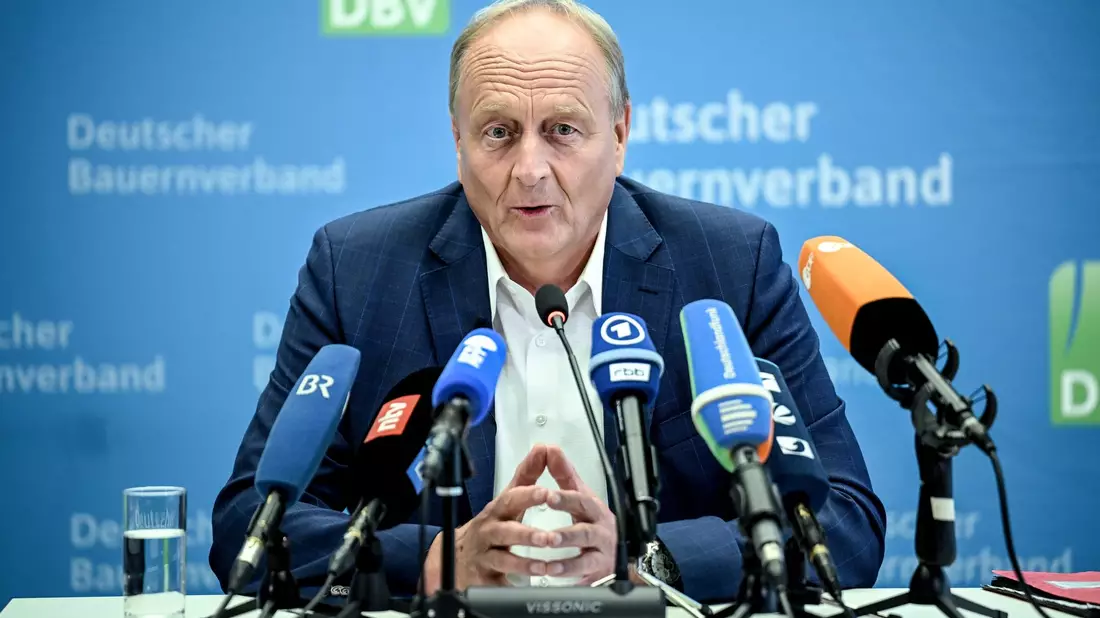 Bauernverbandspräsident Joachim Rukwied nennt die diesjährige Ernte eine «echte Zitterpartie». - Bild: Britta Pedersen/dpa