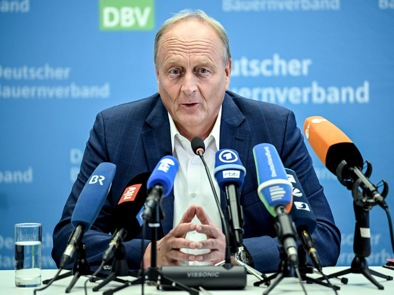 Bauernverbandspräsident Joachim Rukwied nennt die diesjährige Ernte eine «echte Zitterpartie». - Foto: Britta Pedersen/dpa
