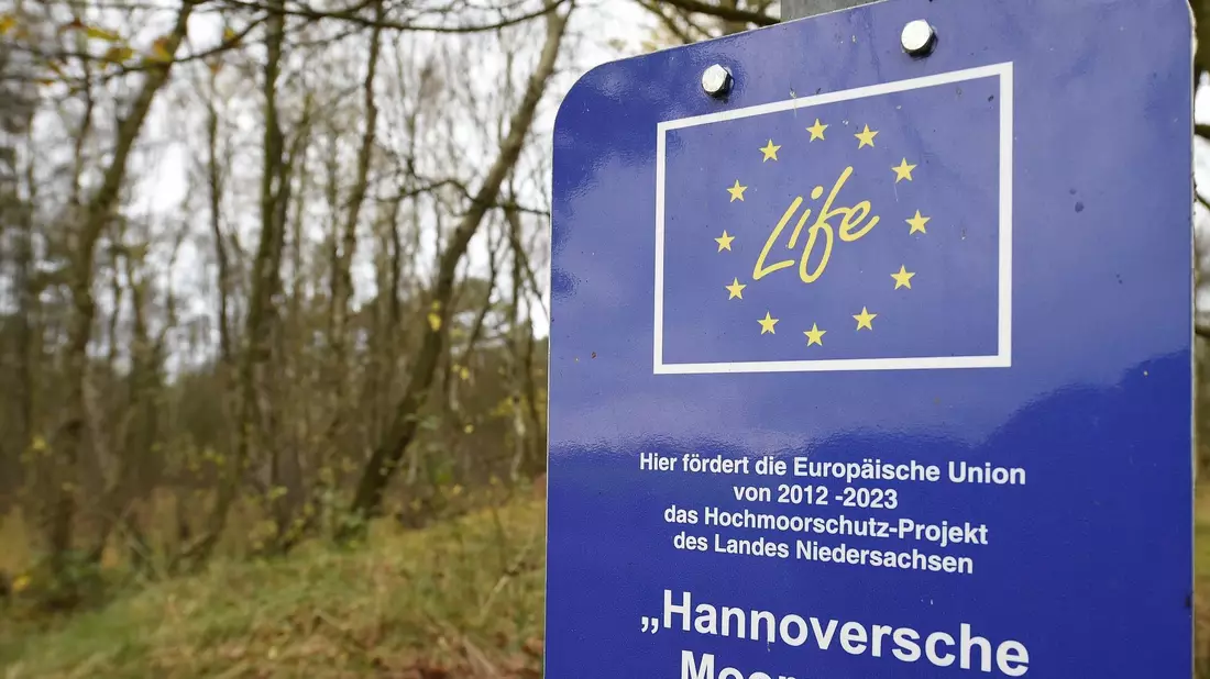 Das Hochmoorschutz-Projekt des Landes Niedersachsen «Hannoversche Moorgeest» im Naturschutzgebiet Bissendorfer Moor. - Bild: picture alliance / dpa