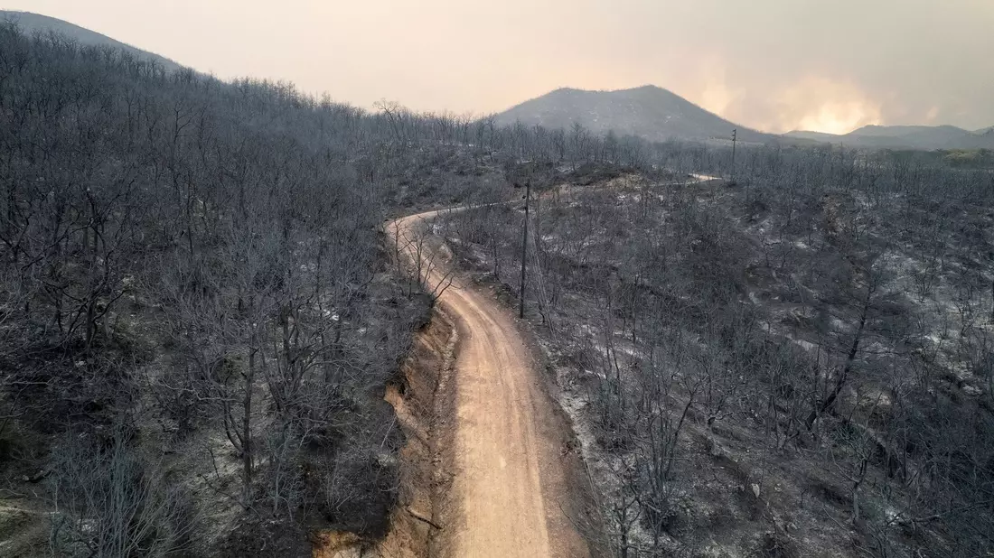Ein verbrannter Wald in der Nähe der Stadt Alexandroupolis. - Bild: Achilleas Chiras/AP