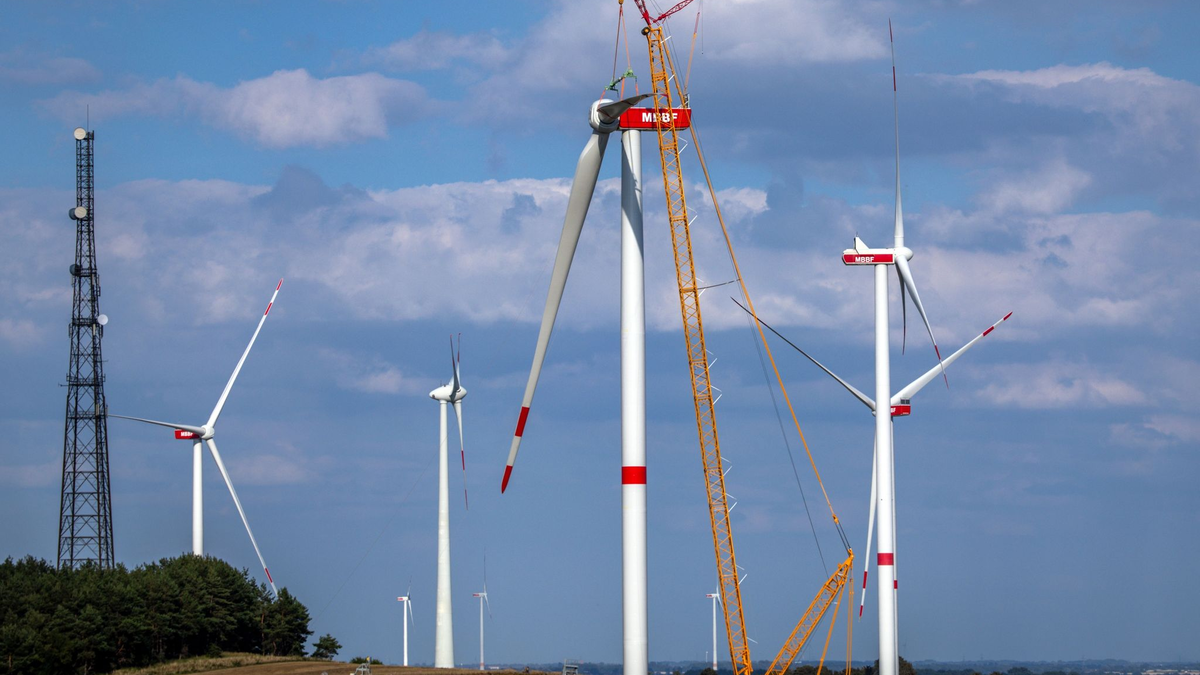 Ein Kran hebt auf der Baustelle eines neuen Windparks in Mecklenburg-Vorpommern ein Rotorblatt für die Montage an das Generatorhaus. - Foto: Jens Büttner/dpa