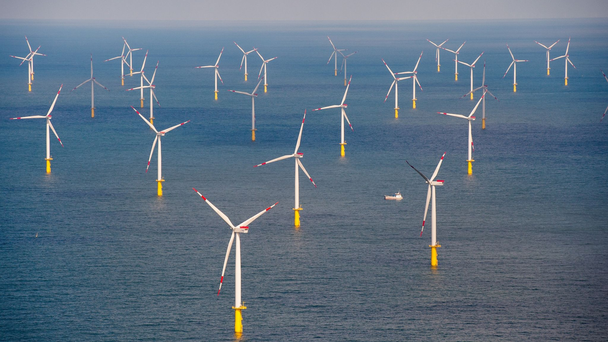 Wie kommt der erzeugte Strom vom Offshore-Windpark ins Landesinnere? - Foto: Daniel Reinhardt/dpa