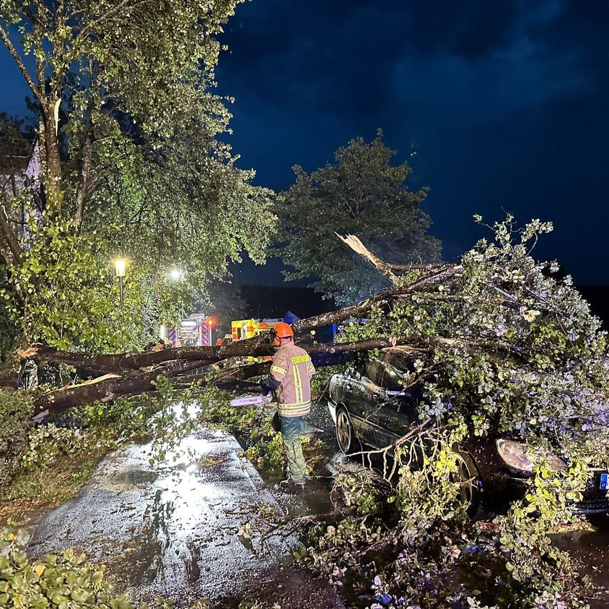 Ein heftiger Strum ließ in Tuttlingen Bäume umknicken. - Foto: -/Stadt Tuttlingen/dpa